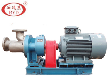 W6Kse不銹鋼雙螺桿泵