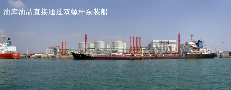 雙螺桿柴油裝船泵 雙螺桿柴油裝船泵