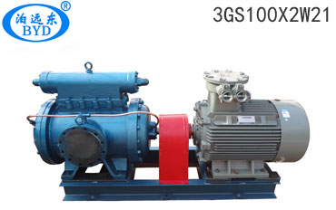 3GS100X2W21 3GS100X2W21