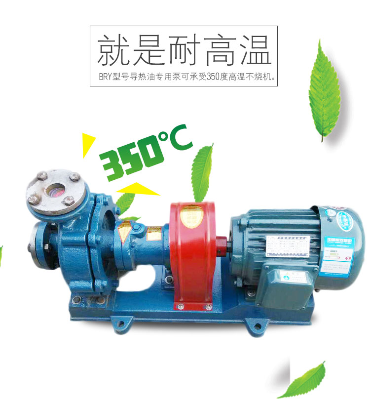 BRY熱媒循環泵 BRY熱媒循環泵