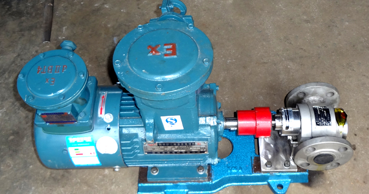 防爆不銹鋼齒輪泵