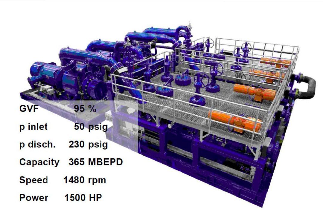 油氣混輸雙螺桿泵
