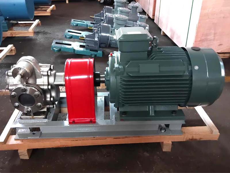 不銹鋼齒輪泵 不銹鋼齒輪泵