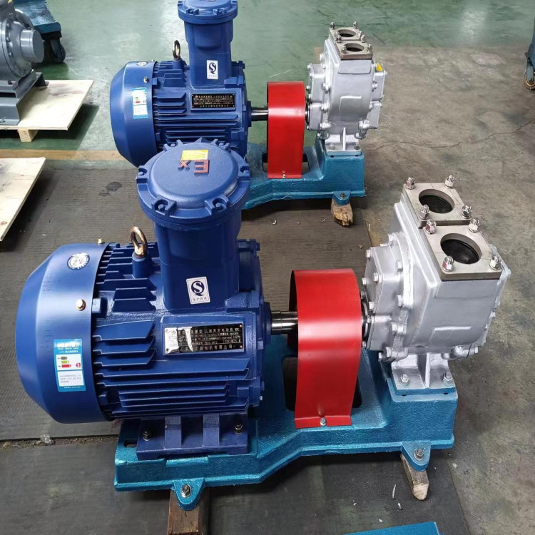 不銹鋼齒輪泵 不銹鋼齒輪泵