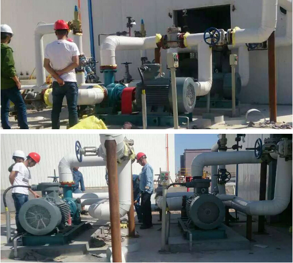 稠油輸送泵 稠油輸送泵
