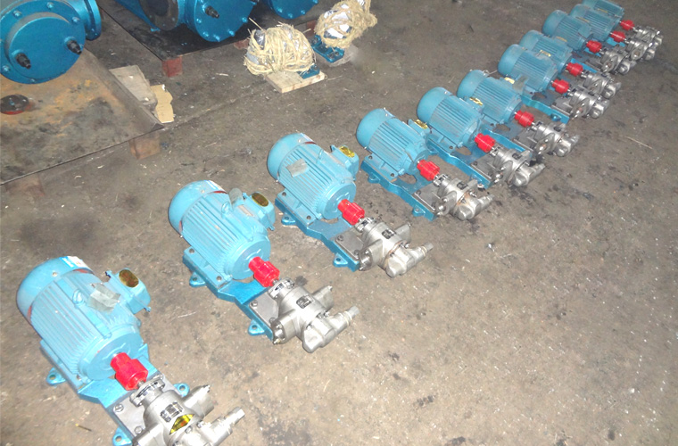 輸送紅花籽油用泵-嘉里糧油選用遠東KCB-83.3不銹鋼齒輪泵