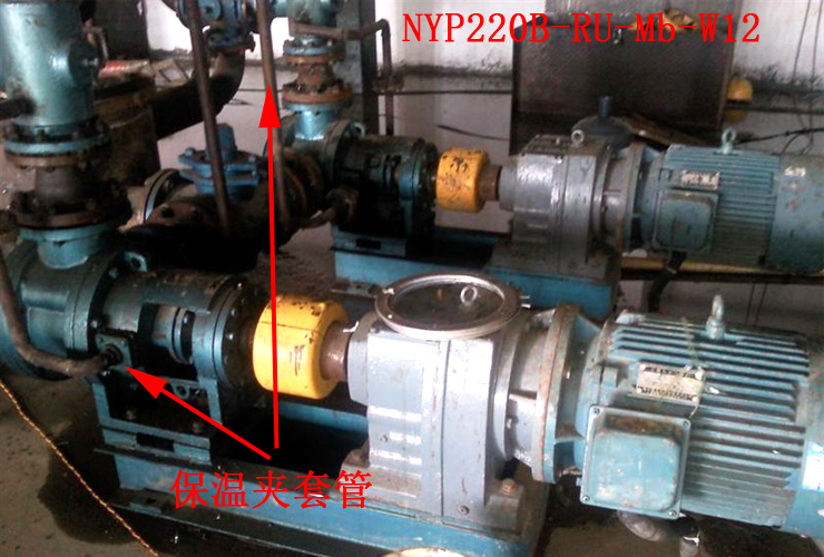 祝賀廣西金雨傘防水裝飾高粘保溫瀝青泵全部調(diào)試成功 祝賀廣西金雨傘防水裝飾高粘保溫瀝青泵全部調(diào)試成功