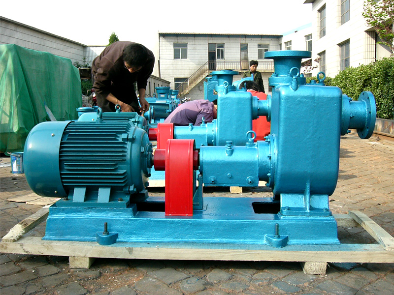 用戶定制的柴油裝車(chē)泵/汽油卸車(chē)泵/燃料油裝車(chē)泵全部采用遠(yuǎn)東100CYZ-40自吸離心油泵